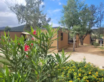 Mietunterkunft - Mobilheim Saint Florent Grand Confort - 2 Zimmer - Camping la'bel balagne