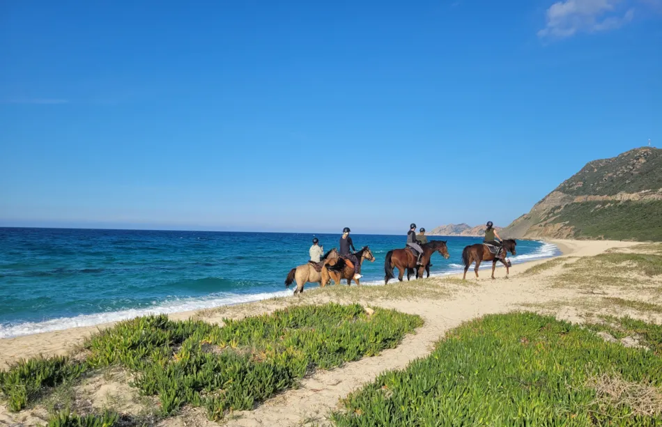 Camping la'bel balagne