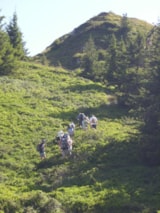 Foto #46 van Camping Clair Matin