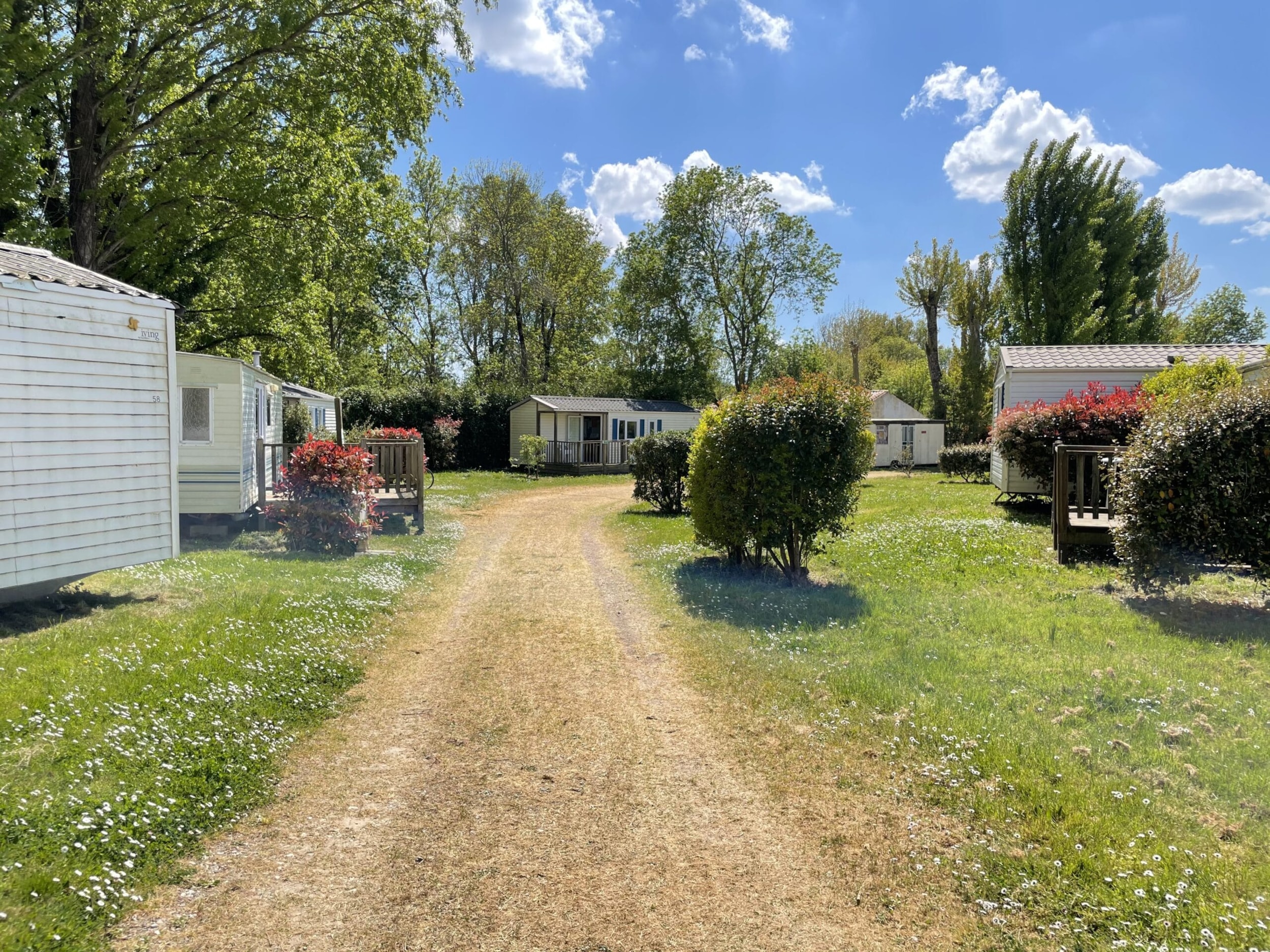 CAMPING O BEAU LAURIER — Photo 5