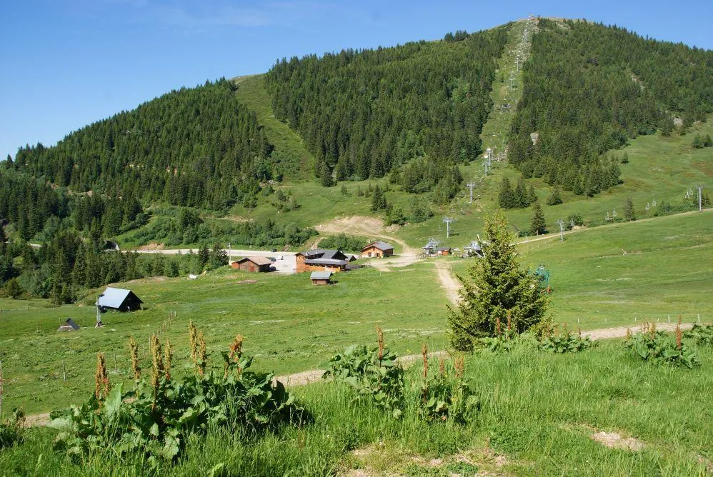 Idéal Camping - image n°32 - Isere
