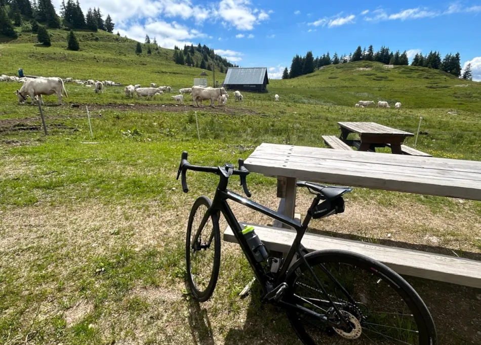Idéal Camping