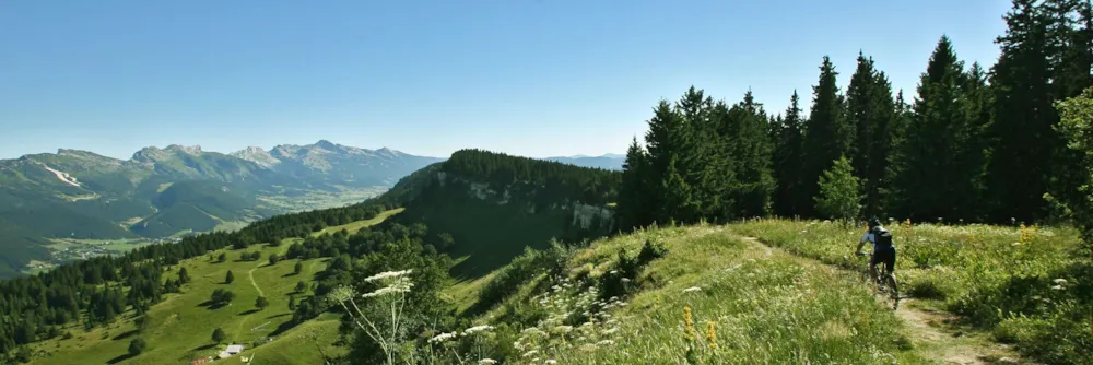 Camping le Vercors - image n°31 - Isere