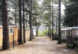 Foto #3 van Camping La Source