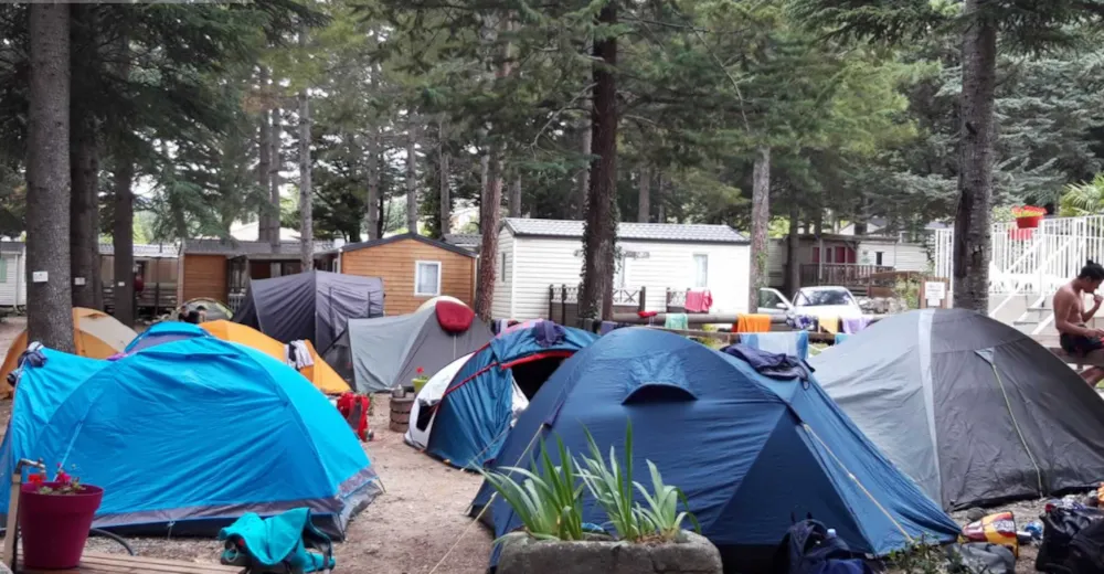 Pitch - Comfort Package 1 Tent, Caravan Or Motor Home / 1 Car / Electricity - Camping La Source