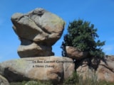 Foto #54 van Camping La Source