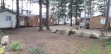 Foto #6 van Camping La Source