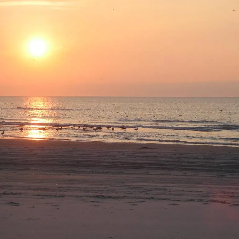Løkken maritime naturcamping Vestkystcamping