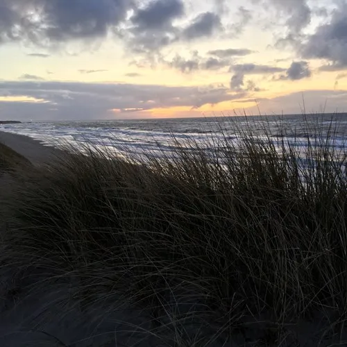 Løkken maritime naturcamping Vestkystcamping