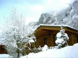 Location - Chalet Grand Confort 45M² - 2 Chambres - image n°3 - Camping la Cascade