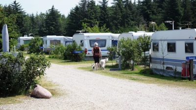 Pitch 10x10 m, electricity 10 A can be purchased (connection + consumption), but no water connection