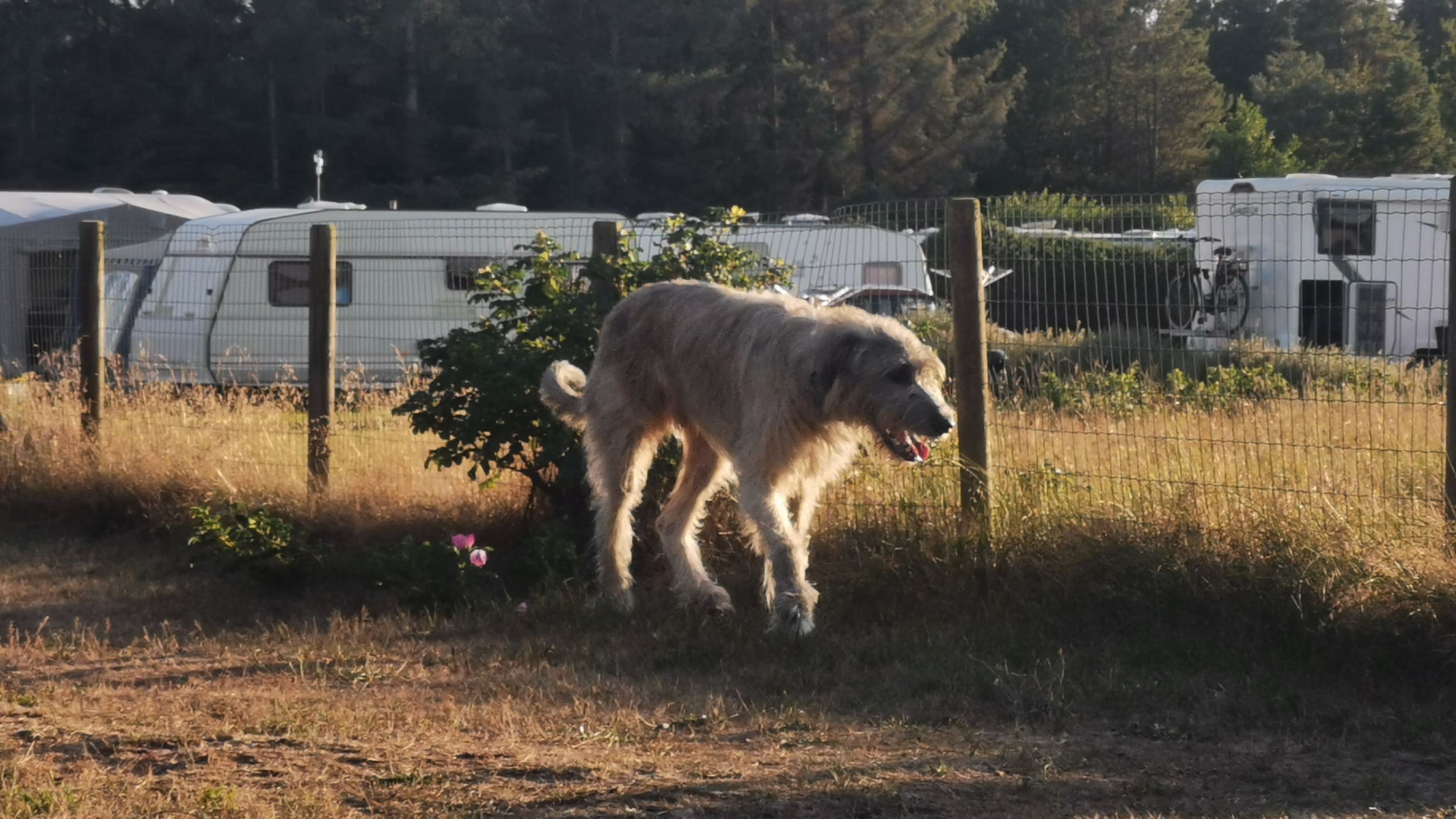 Stjerne Camping — Photo 6