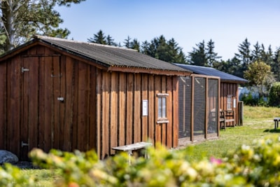 Pitch 10x10 m, electricity 10 A can be purchased (connection + consumption), but no water connection