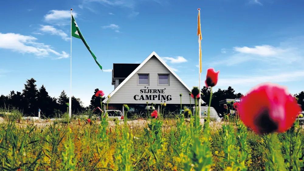Stjerne Camping - image n°1 - MyCamping