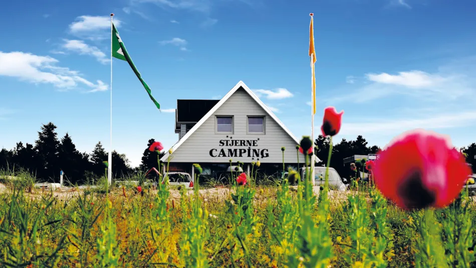 Stjerne Camping