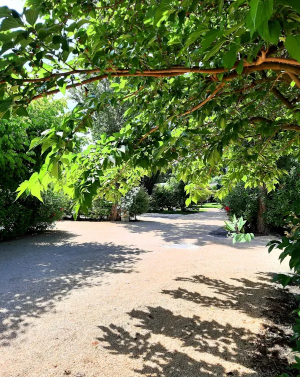 Camping Verbela village