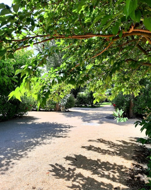 Foto #1 van Camping Verbela village