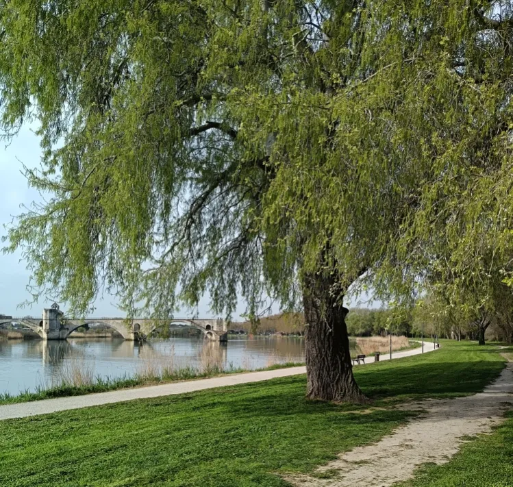 Camping Verbela village