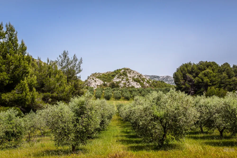 Camping Verbela village