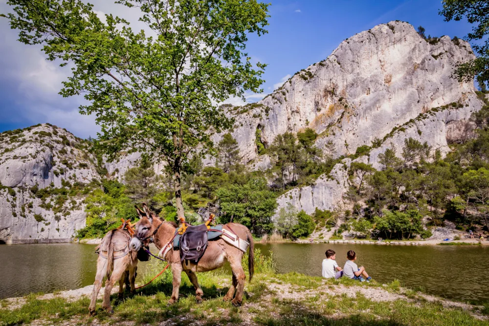 Camping Verbela village