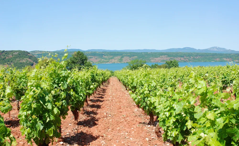 Domaine de la Grenatière