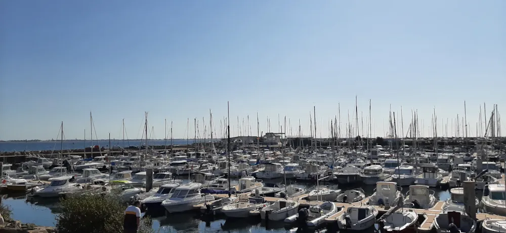 Domaine les Cottages de la Baule