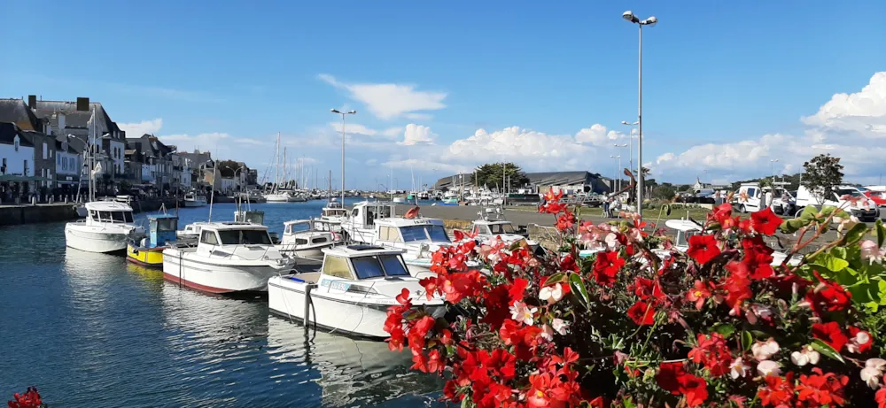 Domaine les Cottages de la Baule