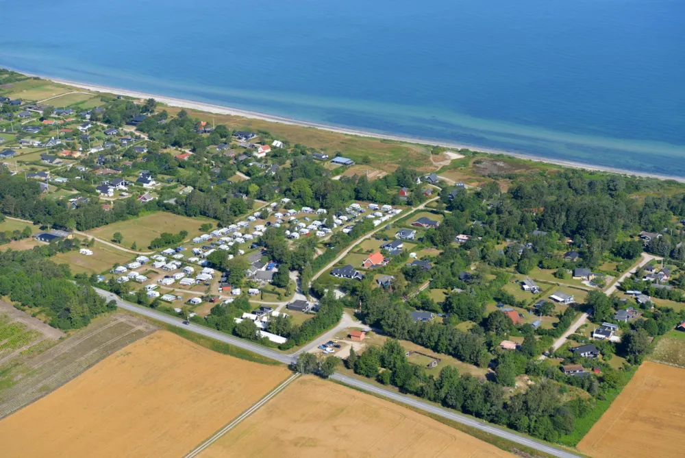 Pitch - Pitch - Dalgård Camping