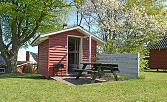 Accommodation - Standard Cabin 8M² - Dalgård Camping