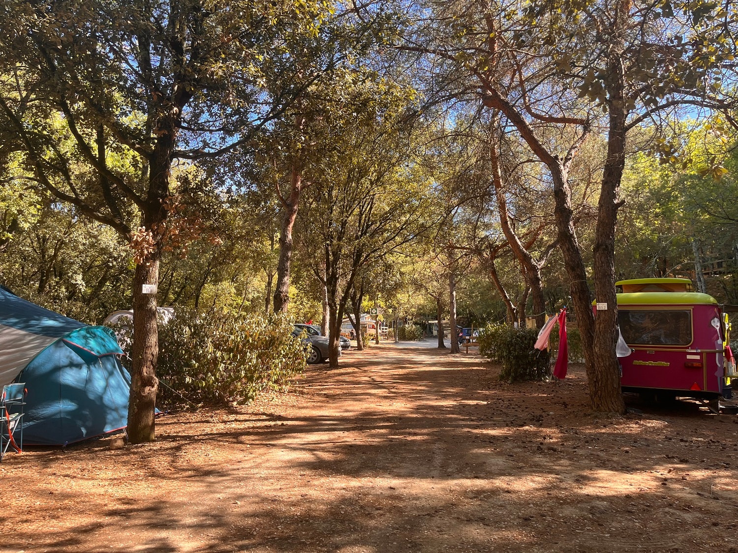Camping  Domaine des Bords de Cèze — Photo 7