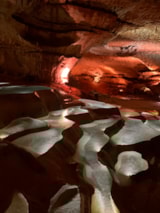 Foto #50 van Camping  Domaine des Bords de Cèze