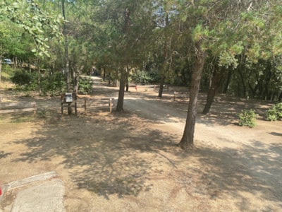 Tent site for cyclists or hikers — 5