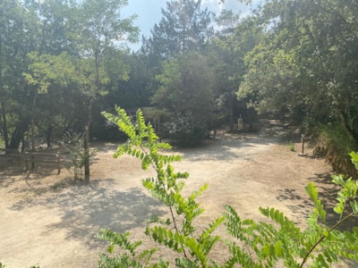 Tent site for cyclists or hikers — 1