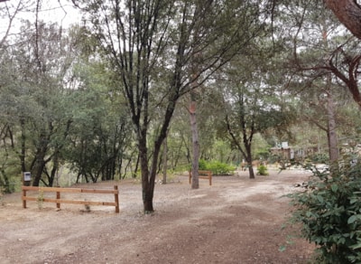 Tent site for cyclists or hikers — 8