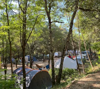 Emplacement - Emplacement : Tente Ou Caravane Avec 1 Véhicule Léger Ou Camping-Car/Van Avec Électricité - Camping  Domaine des Bords de Cèze