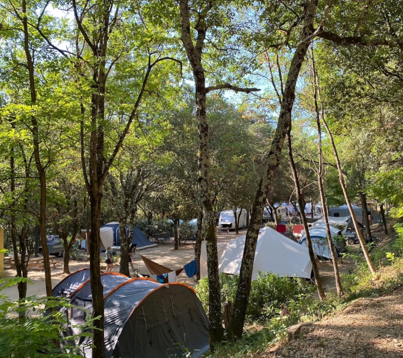 Pitch: tent or caravan with 1 car, or motorhome/van with electricity