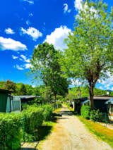 Foto #6 van Camping Montorfano