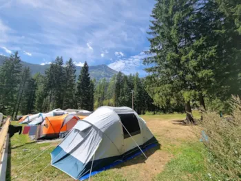 Stellplatz - Stellplatz Zelt - Macugnaga Natural Camping