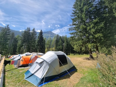 Pitch tent — 1