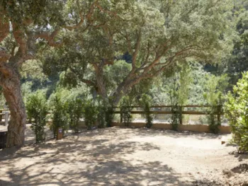 Stellplatz - Stellplatz Plus Hund - Camping Cala Pola
