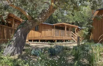 Mietunterkunft - Bungalow Garbí Pool - Camping Cala Pola