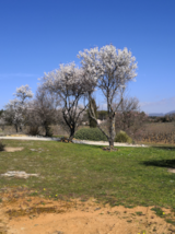 Foto #3 van Gîtes St Estève