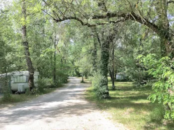 Stellplatz - Stellplatz Nature (1 Zelt, Wohnwagen/ 1 Auto) + Strom 5A - Camping L'Ondine de Provence