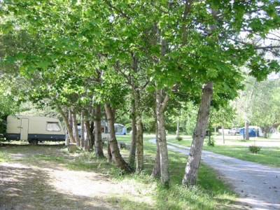 Pitch + motor home