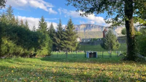 Emplacement - Forfait Emplacement NATURE (Sans Elec) - Camping L'Arc-en-Ciel