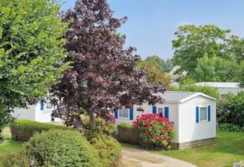 Camping La Petite Ville - MyCamping