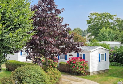 Camping La Petite Ville