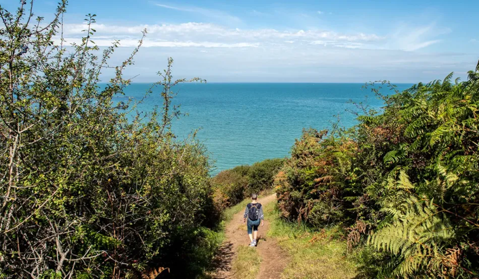 Camping La Petite Ville