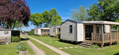 Mobile-home Bahia 1 bedroom - 20 m² — 3