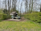 Foto #7 van Buytenplaets Abelen